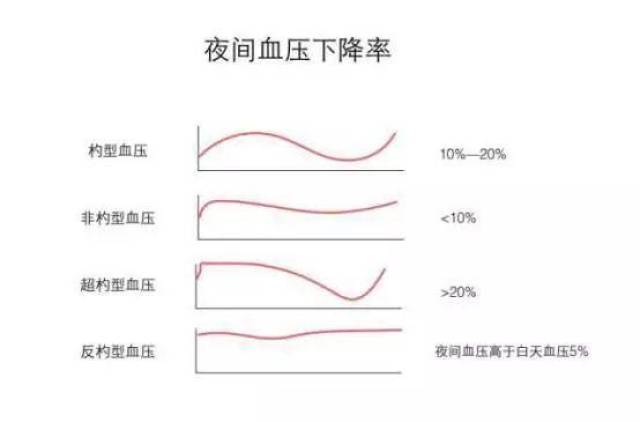 反勺型血压:夜间血压高于白天血压.