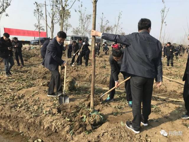 节来临之际,今天上午,镇江市副市长,我市市委书记陈可可,以及黄春年