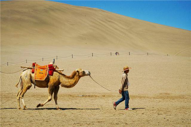 而我们印象中的敦煌,大概都是骑着骆驼逶迤而行才会比较有丝绸之路的