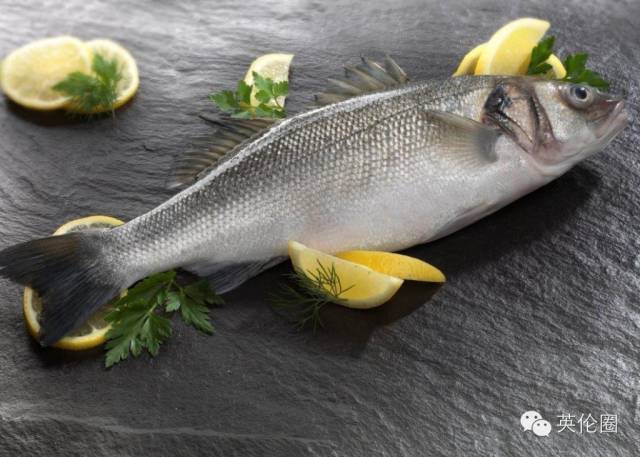 海鲈鱼(sea bass)