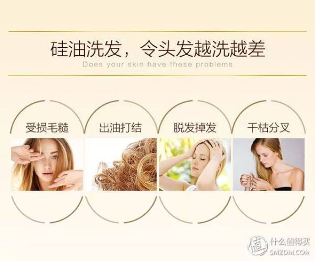 SEO是什么洗发水生发 搜狐网
