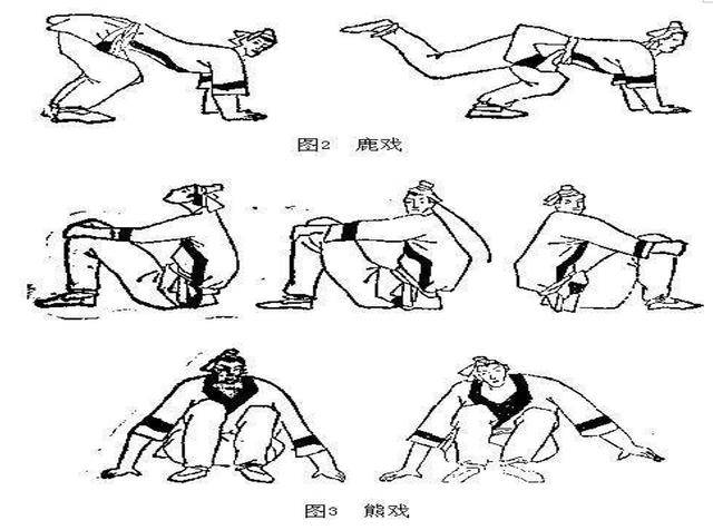 高血压患者春季养生:日常练练五禽戏,活筋骨强心肺