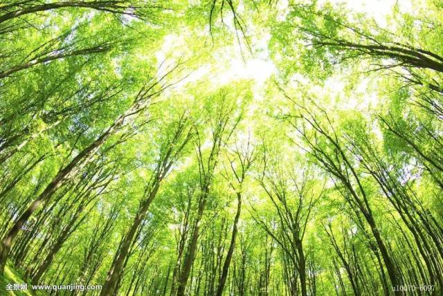 家园 同时还可以起到扩大山林资源 防止水土流失 保护农田 调节气候