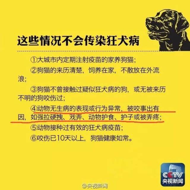 辟谣丨学狗叫就是得了狂犬病?那我想学外语直接让外国人咬我呗!