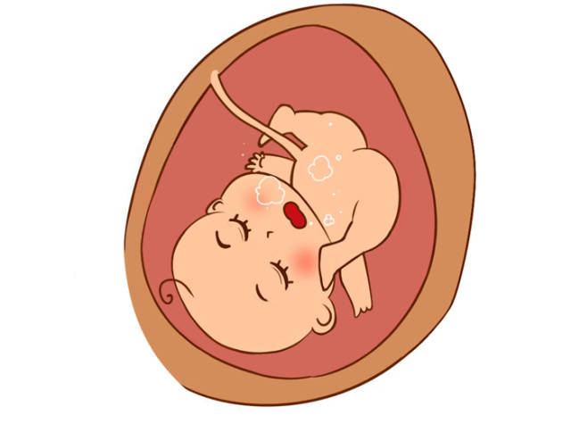 十月怀胎宝宝究竟在肚子里干什么这几种胎动有特殊含义哦