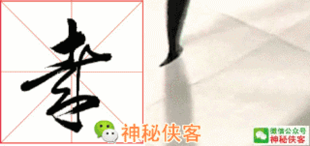 草书符号大全(动态图),独家首发!_手机搜狐网