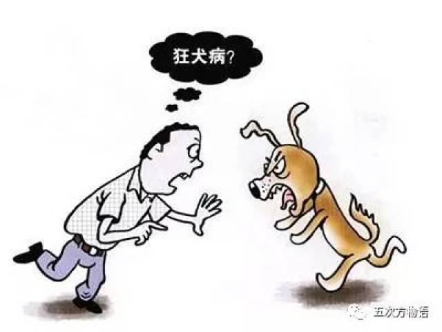 第一,狂犬病病人会学狗叫吗?会像狗一样咬人吗?