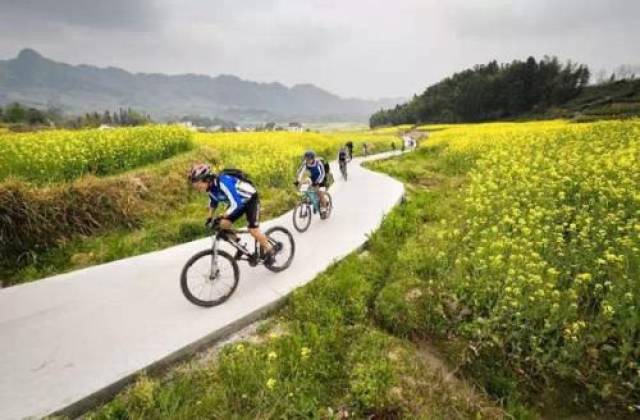 旅游+农业：十大模式看清休闲农业的套路开云 开云体育APP