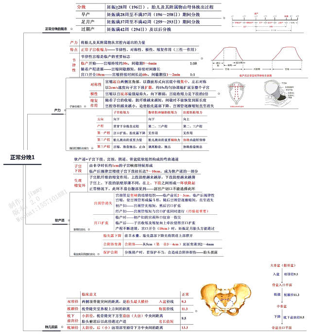 2018年最新考研/执业医师考试思维导图笔记妇产科学:正常分娩