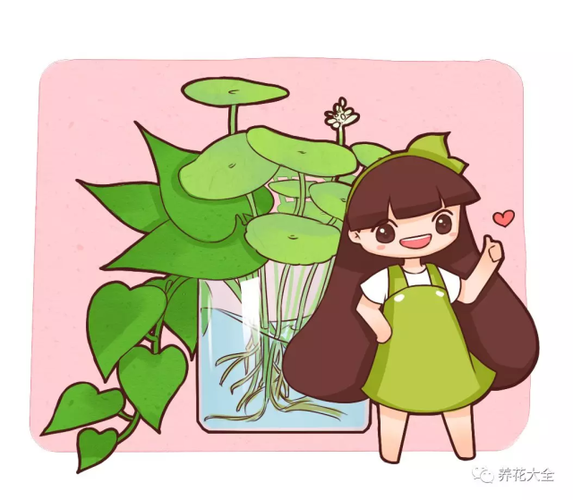 水培瓶里撒点它,花草10年不黄叶,长疯了!