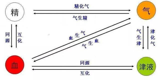 小谈中医基础理论,精气阴阳五行