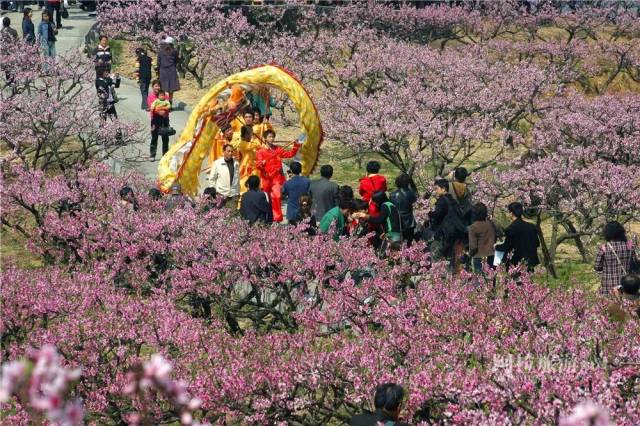 滕头生态旅游区 就餐推荐:滕头乡村大食堂,金钟广场海鲜排档 住宿