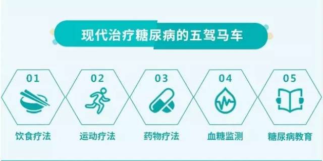 力力康:现代治疗"糖尿病"的五驾马车