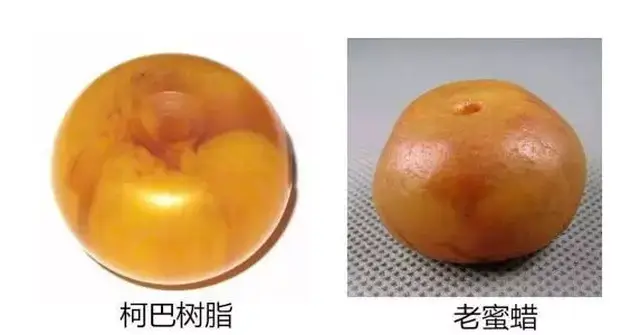 ǾƷʥԵĴھǰϺĻĸ