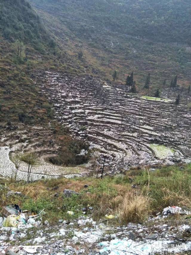 田林旧州冰雹 隆林德峨乡冰雹 隆林蛇场乡冰雹 隆林地面上密密麻麻的