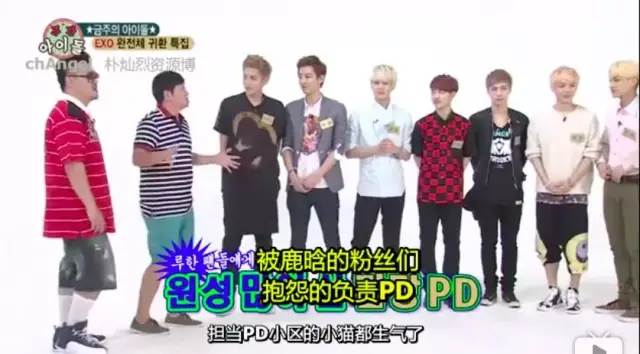 《热血街舞团》开播,我看到了一个越来越平庸