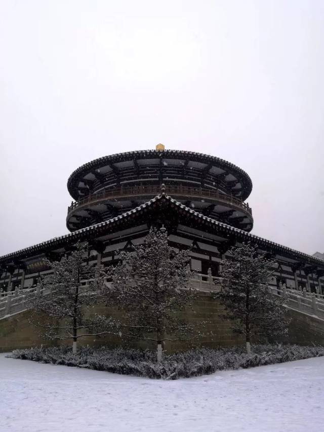 下雪了!大同多个地区突降大雪!(内附雪景和路况信息)