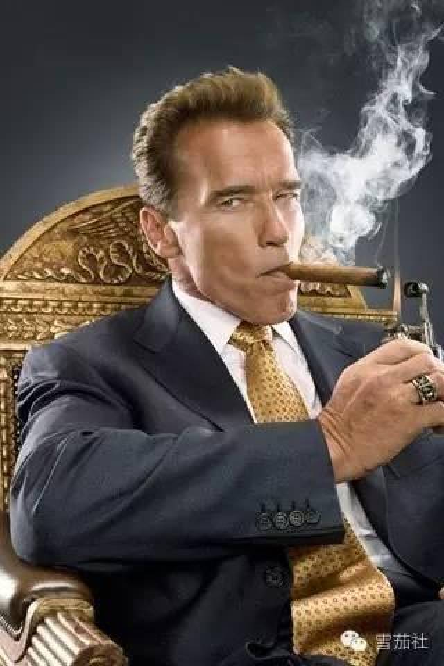 施瓦辛格雪茄不离口 硬汉抽雪茄有独到见解