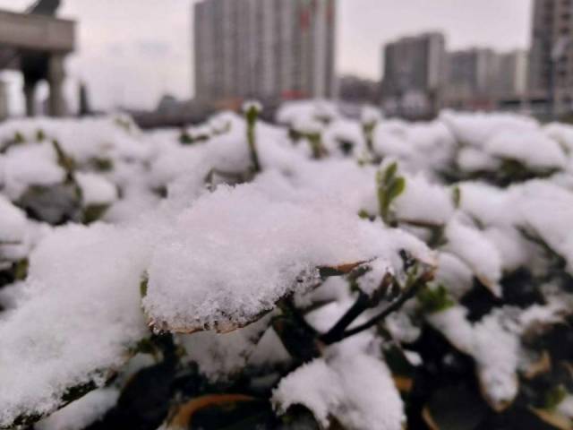 17日夜间:全省阴天转多云,太原及其以南的部分地区有 小雨或雨夹雪