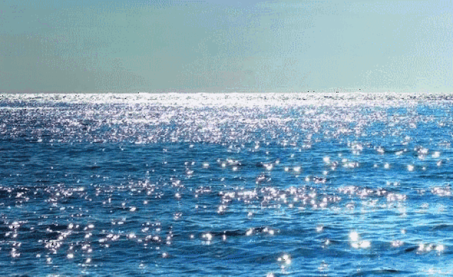 叹阳光海滩!吃海鲜!啥都齐! 而且价格超级无敌抵!