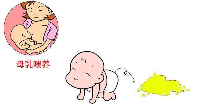 2. 母乳喂养的大便
