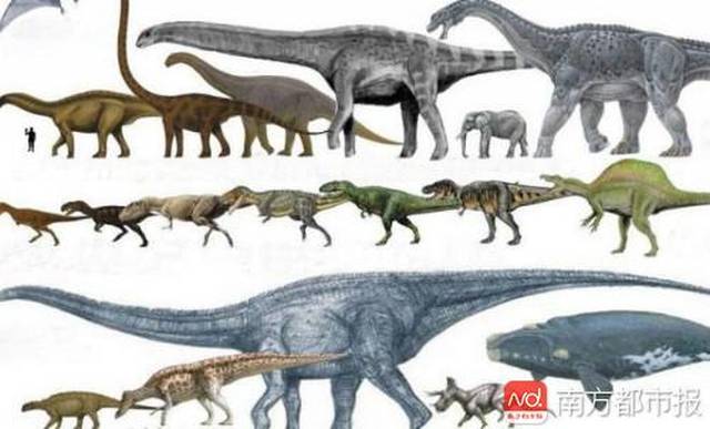 广州:持续一个月的恐龙主题展来了,约吗?