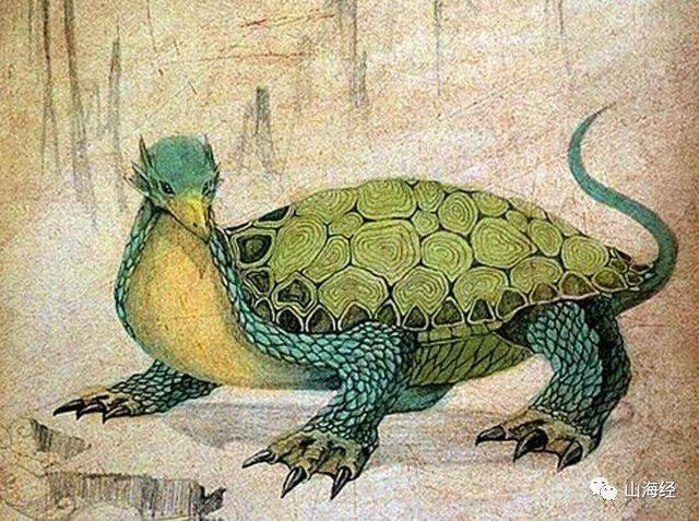 自古以来,龟就是神秘的化身.
