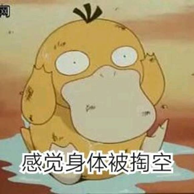 可达鸭qq表情包