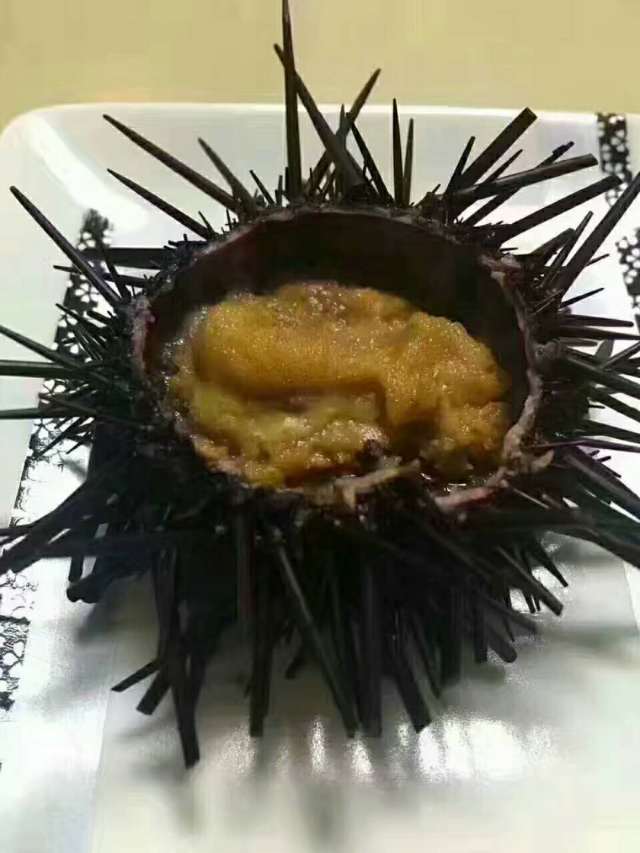 东山岛海鲜,这才是真正的野生海胆肉,你吃过吗?