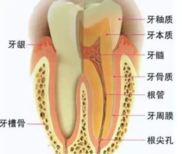 ob体育app拉尼娜现象