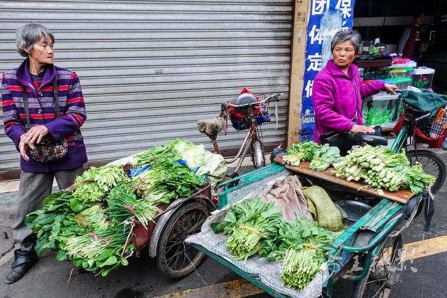 双流大市场的早菜市上逛逛,一位卖菜大爷的一句话逗得我们直乐