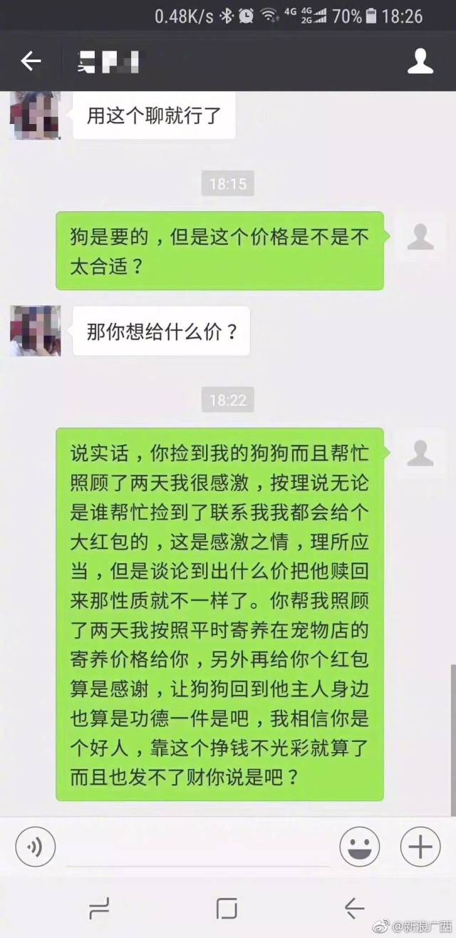 狗狗的主人最终想妥协 在得知爱狗回来希望渺茫后 愤怒将聊天记录曝光