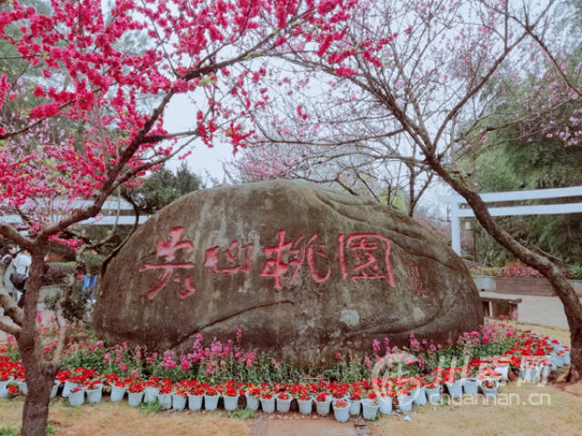 自贡尖山十里桃林,圆你"三生三世"桃源梦