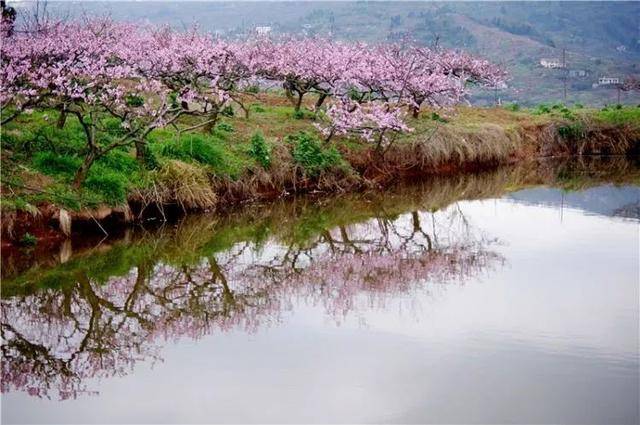 山镇是国家"万村千乡百县旅游示范乡镇",全国无公害水果之乡,自驾方便