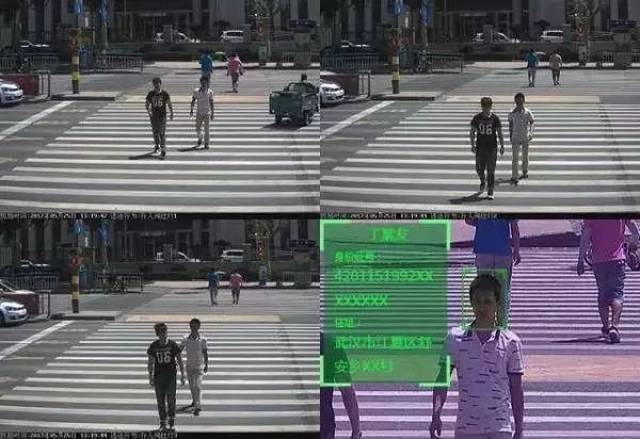行人闯红灯,姓名照片身份证号当场曝光!这算侵犯隐私吗?交警回应…-晋城物流