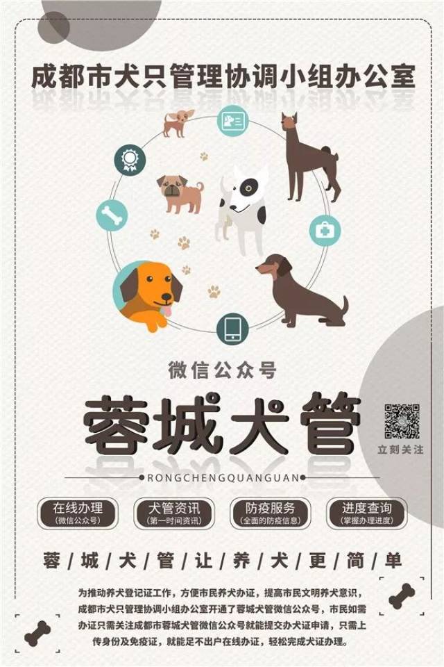 文明养犬,共爱蓉城 轻轻动手关注"蓉城犬管"微信公众号 为你的爱犬