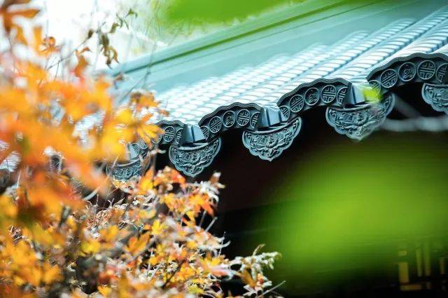 探访沪上最美庭院,看这家寺院如何将禅意演绎极致