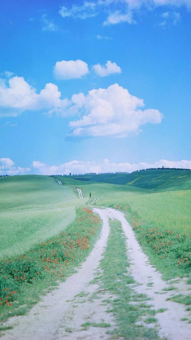 换上干净的壁纸让心静下来