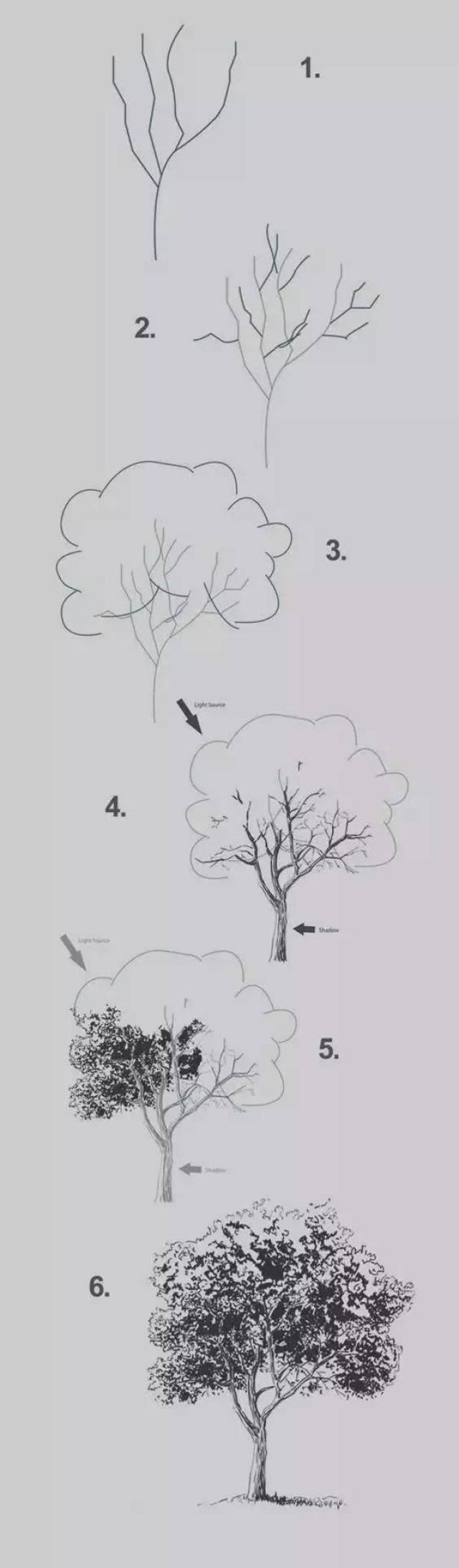 6步画一棵树