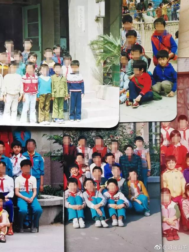 张鲁一疑似整容?抢走节目风头,暗戳戳秀恩爱的他,私下性格