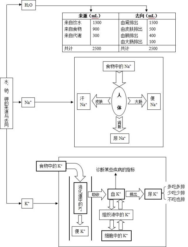 3.7 水盐平衡的调节