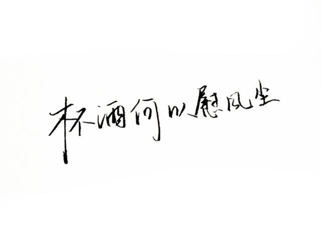 红尘无归处,独饮难入眠,区区一壶酒,何以慰风尘