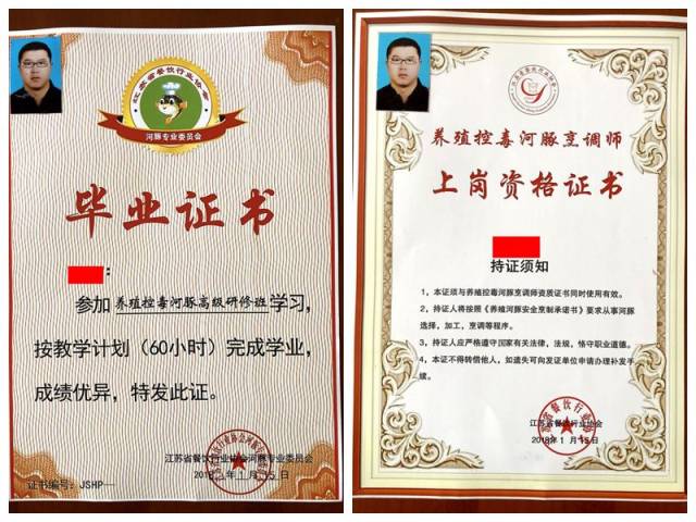 供不应求 老板想经营河豚菜品 厨师想掌握河豚控毒和烹饪绝技 应餐饮
