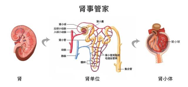 Ĺ() ͼƬϼ