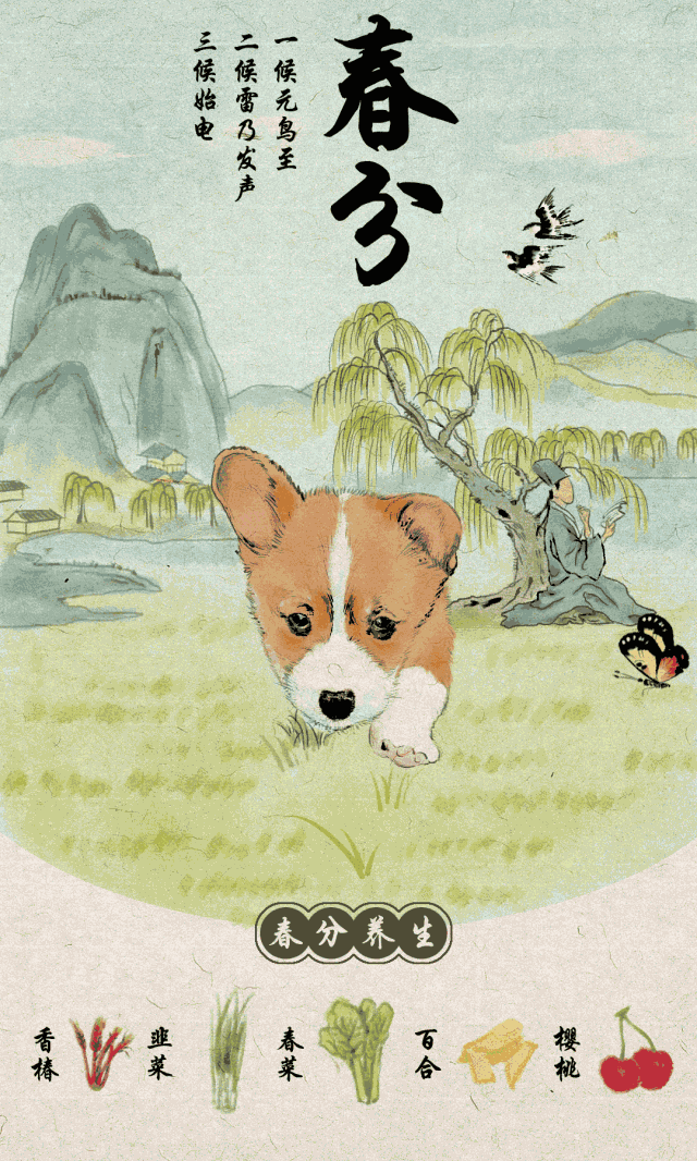 640_1066 竖版 竖屏