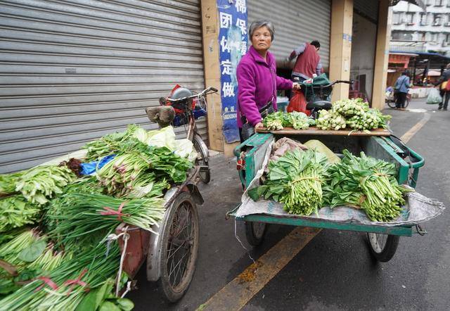 早市花甲老人卖菜,大早赶来摆摊其实也卖不了几个钱,好心疼她们