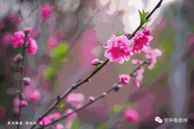 还可骑自行车或搭乘公交6,17,21,22,26,27,33,37路前往.