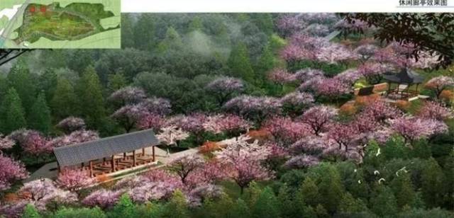 沙坪坝区今年新建16个社区公园,让市民推窗见绿,生活更有品质
