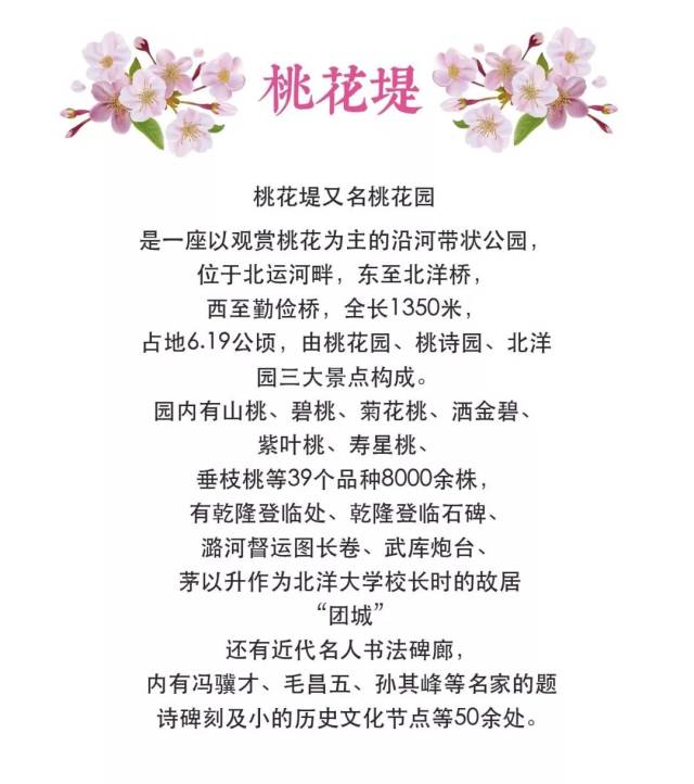 盛大开幕 这次我们来点不俗的 今天来桃花堤与你一起粉嫩过节!