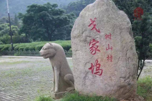 苏州4村入选